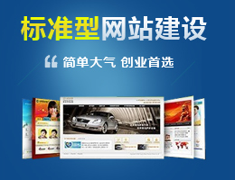 外贸标准网站建设